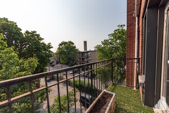 4420 N Ashland Ave, Unit 3w in Chicago, IL - Foto de edificio - Building Photo