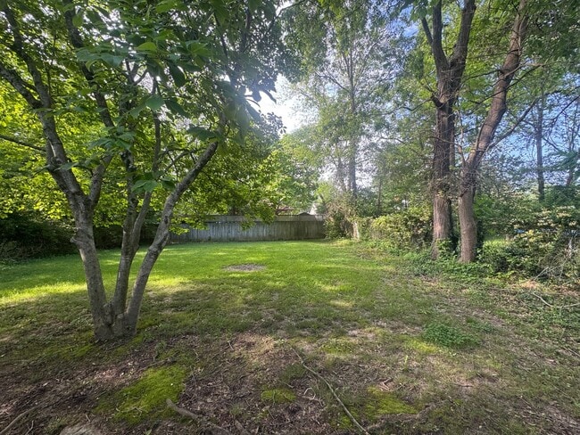 1203 W Schwartz St in Carbondale, IL - Building Photo - Building Photo