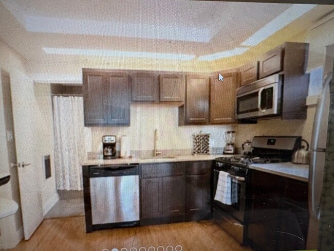 830 W Altgeld St, Unit #1f in Chicago, IL - Building Photo - Building Photo