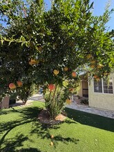 19148 Saticoy St in Reseda, CA - Foto de edificio - Building Photo