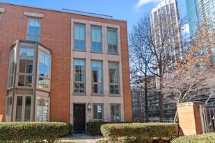 424 E North Water St in Chicago, IL - Building Photo