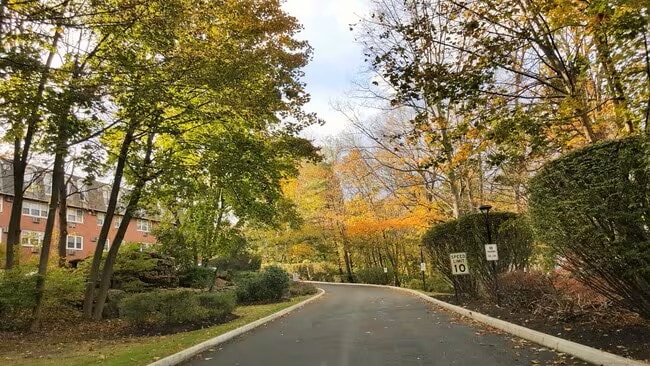 302 Old Bridge Ln in Danbury, CT - Building Photo - Building Photo