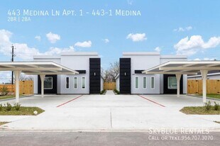443 Medina Drive Service Rd in Alamo, TX - Building Photo