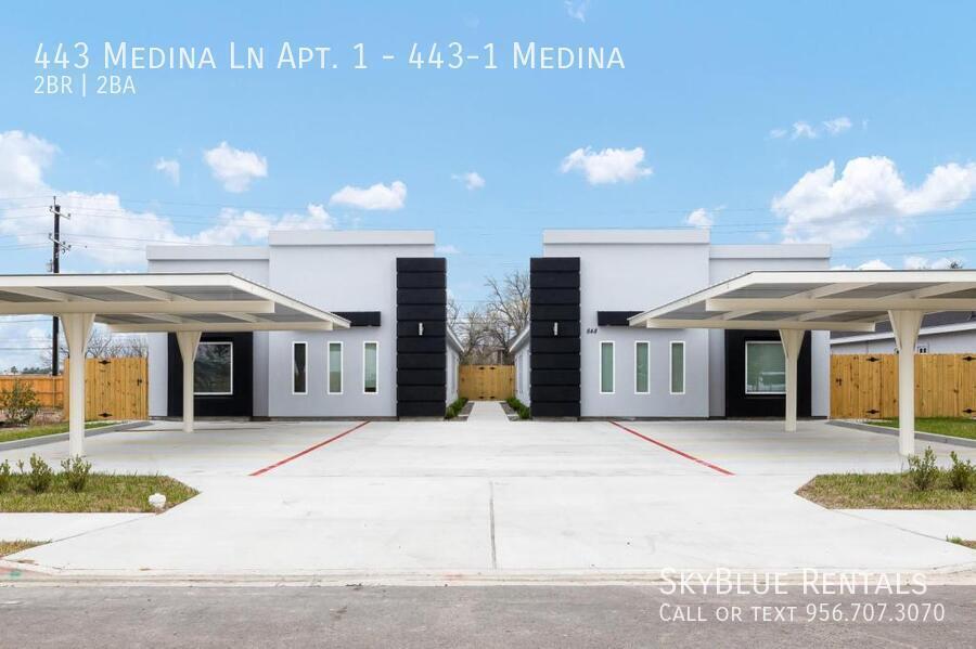 443 Medina Drive Service Rd in Alamo, TX - Building Photo