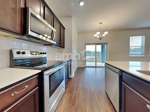 20355 Calla Lily Dr in Land O Lakes, FL - Foto de edificio - Building Photo