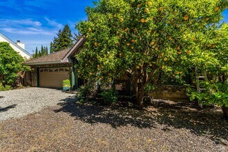6578 Oak Leaf Ct in Yountville, CA - Building Photo - Building Photo