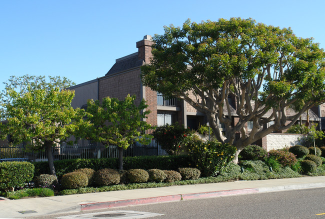 4650 Glencoe Ave in Los Angeles, CA - Building Photo - Building Photo