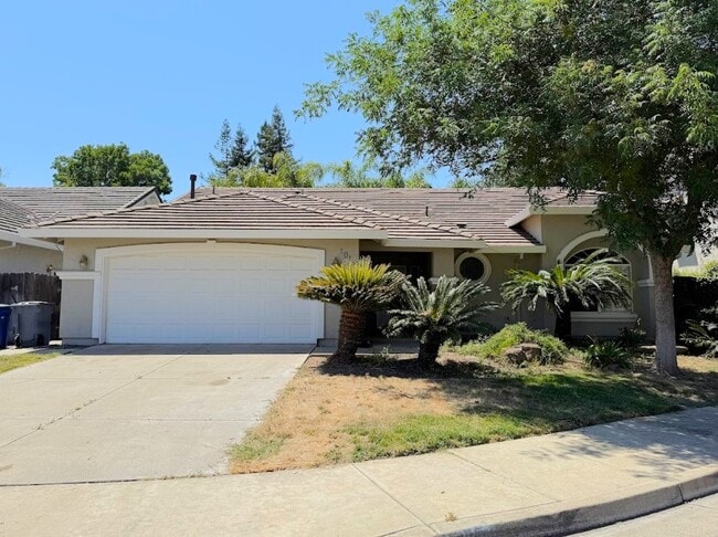 property at 1018 Kiwi Ct