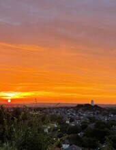 1915 Sutton Pl in Harker Heights, TX - Building Photo - Building Photo