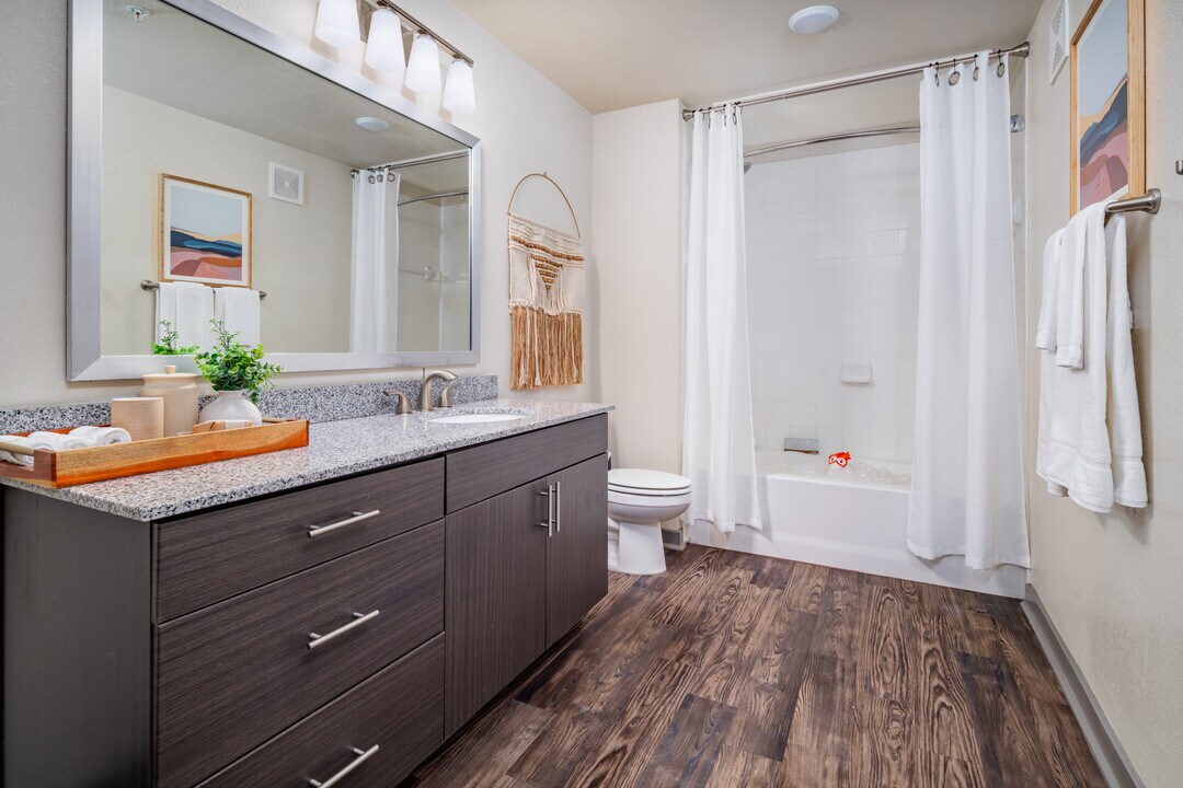 Axis Hamilton in San Antonio, TX - Building Photo