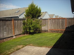 16402 NE 8th St in Vancouver, WA - Building Photo - Building Photo