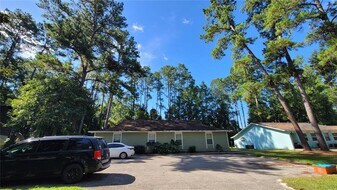7119 SW 45th Pl in Gainesville, FL - Building Photo