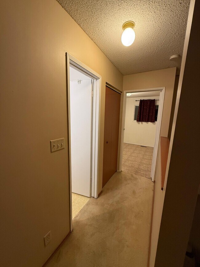 29 Laurel Leaf Ln in Winnipeg, MB - Building Photo - Building Photo