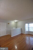 13401 Elevation Ln in Herndon, VA - Building Photo