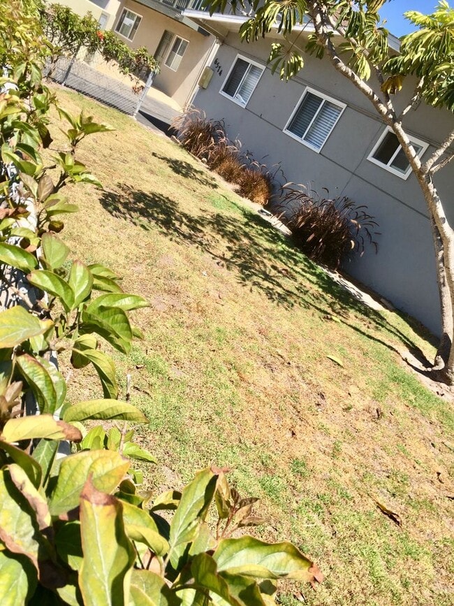 6574 Del Playa Dr in Isla Vista, CA - Building Photo - Building Photo