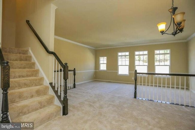 262 Short Branch Rd in Stafford, VA - Foto de edificio - Building Photo