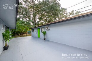 4215 E Sewaha St in Tampa, FL - Building Photo
