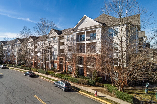 Fairfax Ridge