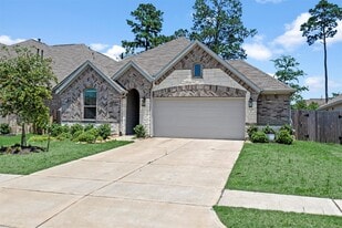25318 Pirates One Dr in The Woodlands, TX - Building Photo