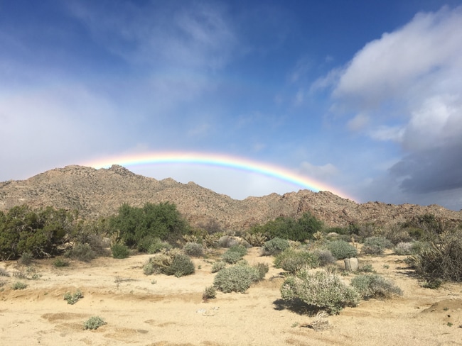 56250 Las Rocas in Mountain Center, CA - Building Photo - Building Photo