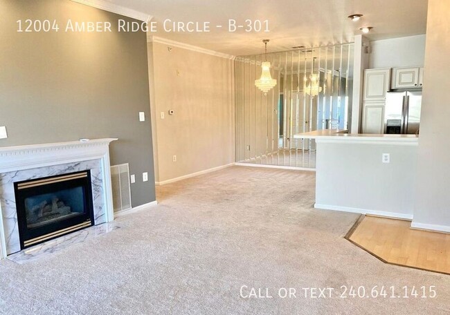 12004 Amber Ridge Cir in Germantown, MD - Building Photo - Building Photo