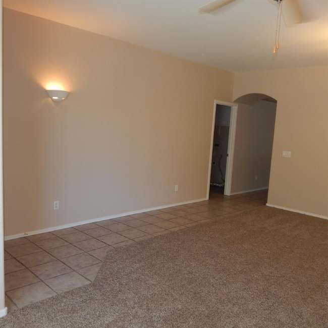 295 E Placita Nubes De Agua in Sahuarita, AZ - Building Photo - Building Photo