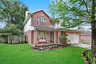 19 Heron Hollow Ct in Spring, TX - Foto de edificio - Building Photo