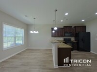 739 Dawsons Park Wy in Lexington, SC - Building Photo - Building Photo