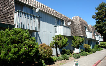 Clement Apartments in Santa Rosa, CA - Building Photo - Building Photo