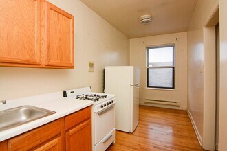 1055 W George St in Chicago, IL - Building Photo - Building Photo