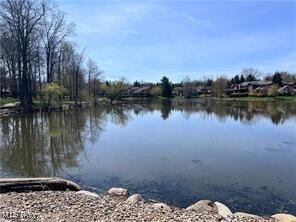 property at 26101 Village Ln
