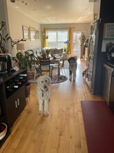 527 Titan St in Philadelphia, PA - Foto de edificio - Building Photo