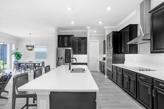 31650 Cannon Rush Dr in San Antonio, FL - Building Photo - Building Photo