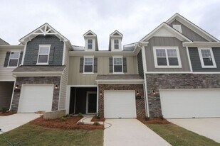 206 Harpers Run Ln in Wesley Chapel, NC - Building Photo
