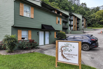 Tanglewood Lofts in Pigeon Forge, TN - Building Photo - Building Photo