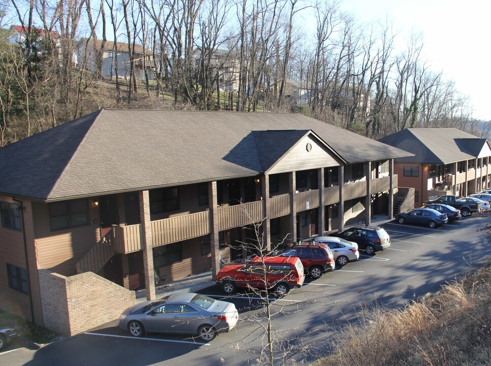 Avalon Apartments in Morgantown, WV - Building Photo