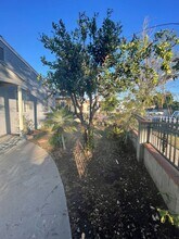 1901 E Curry St-Unit -1901 E Curry St in Long Beach, CA - Building Photo - Building Photo