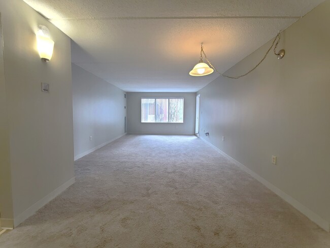 1 S Point Dr, Unit 4 in Boston, MA - Building Photo - Building Photo
