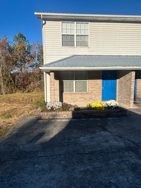244 Burkhardt Way in Kodak, TN - Building Photo