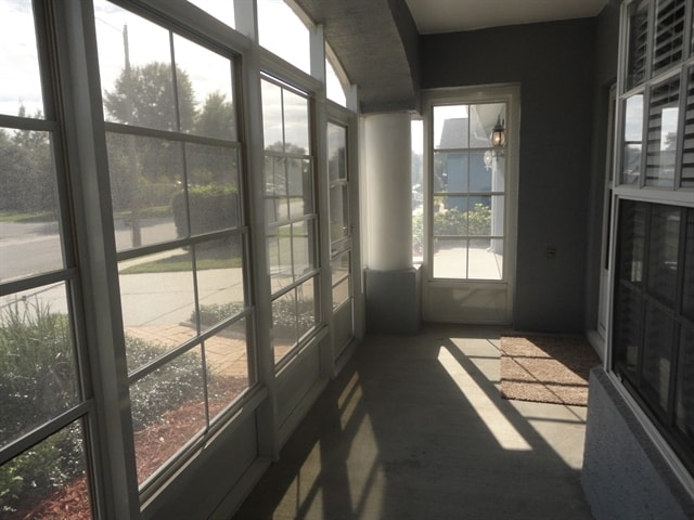 4205 Tall Oak Ln in New Port Richey, FL - Foto de edificio - Building Photo