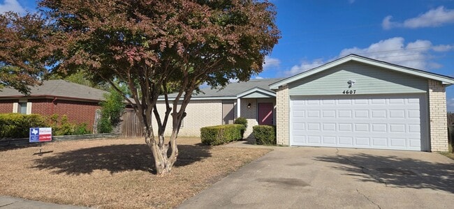 4607 Mustang Dr in Killeen, TX - Building Photo - Building Photo