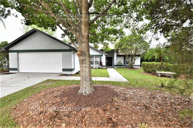 4819 Balsam Dr in Land O Lakes, FL - Foto de edificio - Building Photo