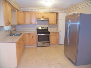 8523 Chinaberry Dr in Tampa, FL - Building Photo - Building Photo