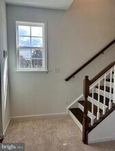 3141 Eton Pl in Winchester, VA - Building Photo - Building Photo