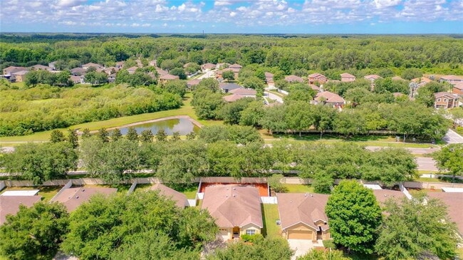 5951 Desert Peace Ave in Land O Lakes, FL - Building Photo - Building Photo