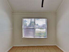 30202 Deleon Fields Dr in Spring, TX - Building Photo - Building Photo