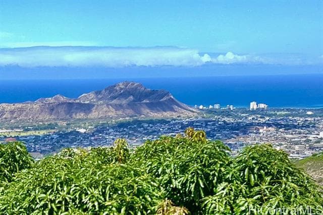 property at 2158 Halekoa Dr