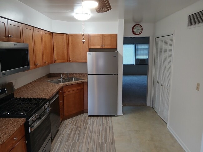 211 N Bothwell St in Palatine, IL - Building Photo - Building Photo