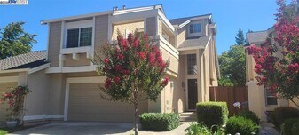 1489 Trimingham Dr in Pleasanton, CA - Building Photo