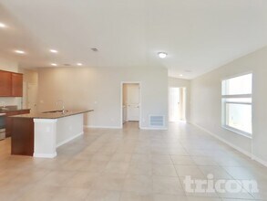 10410 Fairy Moss Ln in Riverview, FL - Foto de edificio - Building Photo